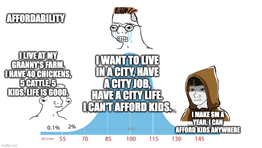 Midwit meme about affording kids