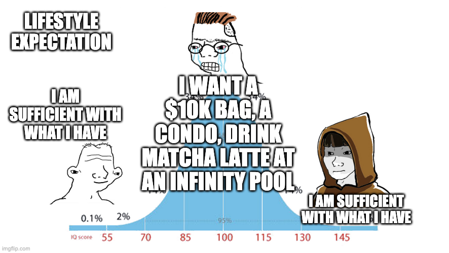 Midwit meme about lifestyle expectations