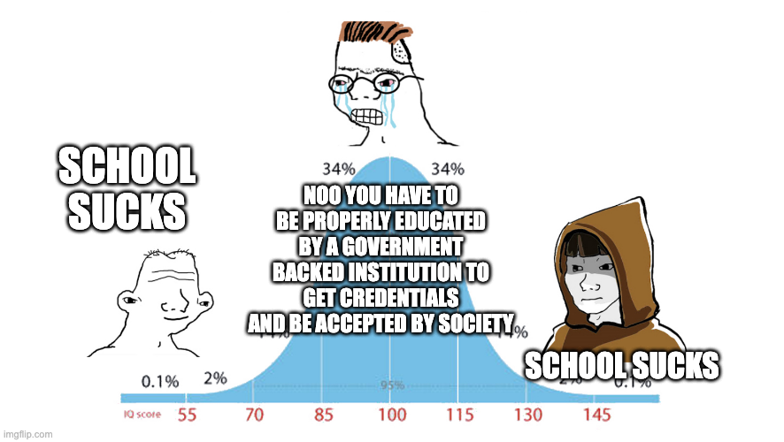 Midwit meme about school